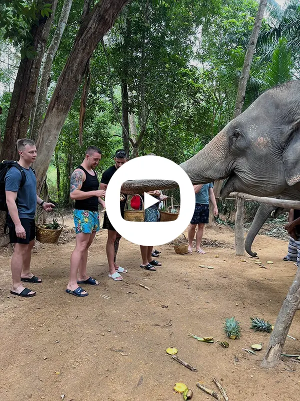 Love Elephant Sanctuary Krabi