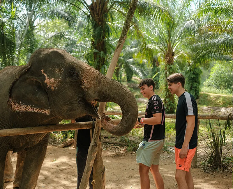 Love Elephant Sanctuary Krabi